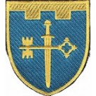 Шеврон 105 окрема бригада ТрО (Тернопільська область) (кольоровий)