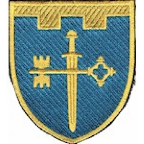 Шеврон 105 окрема бригада ТрО (Тернопільська область) (кольоровий)
