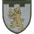 Шеврон 101 окрема бригада ТрО (Закарпатська область)