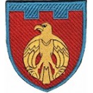 Шеврон 121 окрема бригада ТрО (Кіровоградська область) (кольоровий)