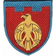 Шеврон 121 окрема бригада ТрО (Кіровоградська область) (кольоровий)