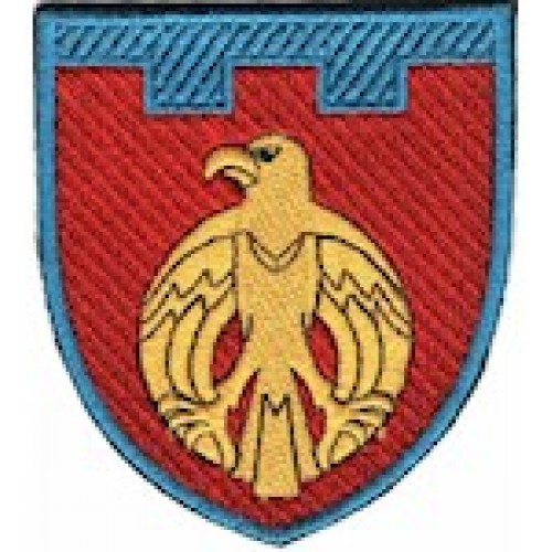 Шеврон 121 окрема бригада ТрО (Кіровоградська область) (кольоровий)