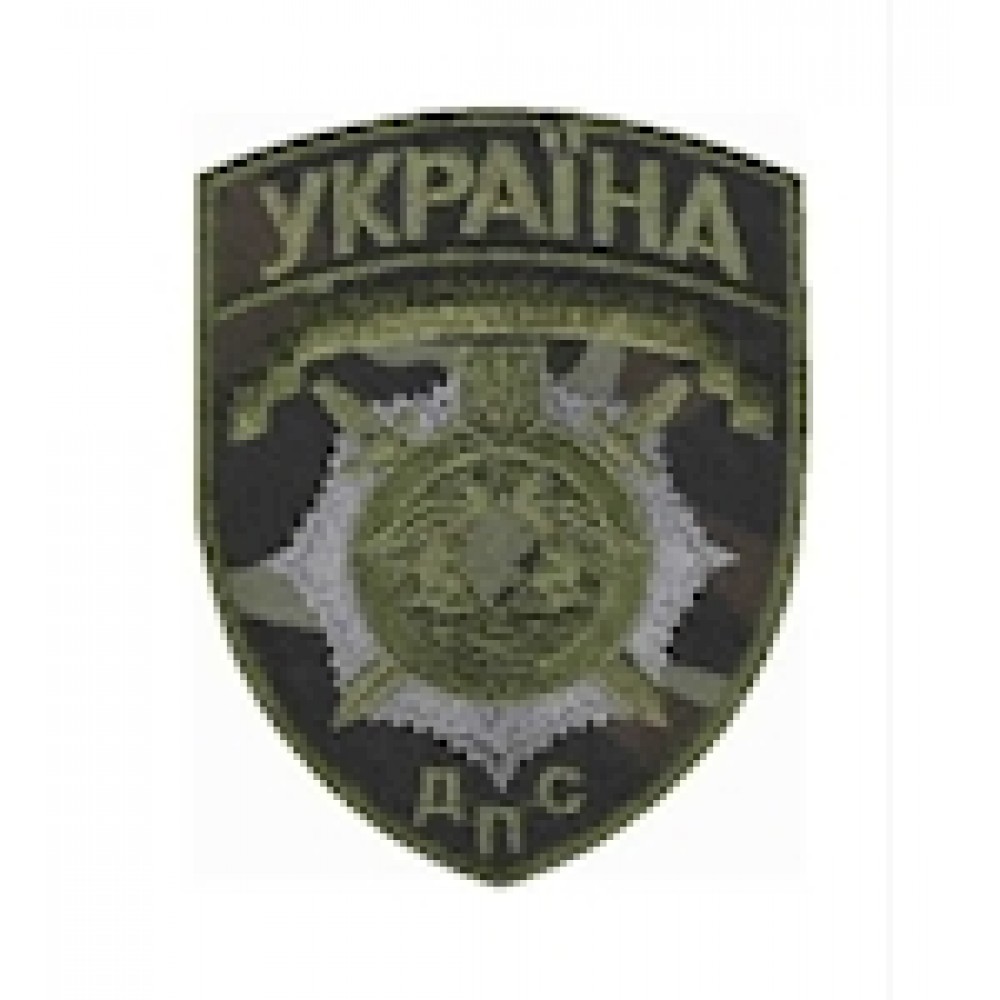 Шеврон ДПС малий