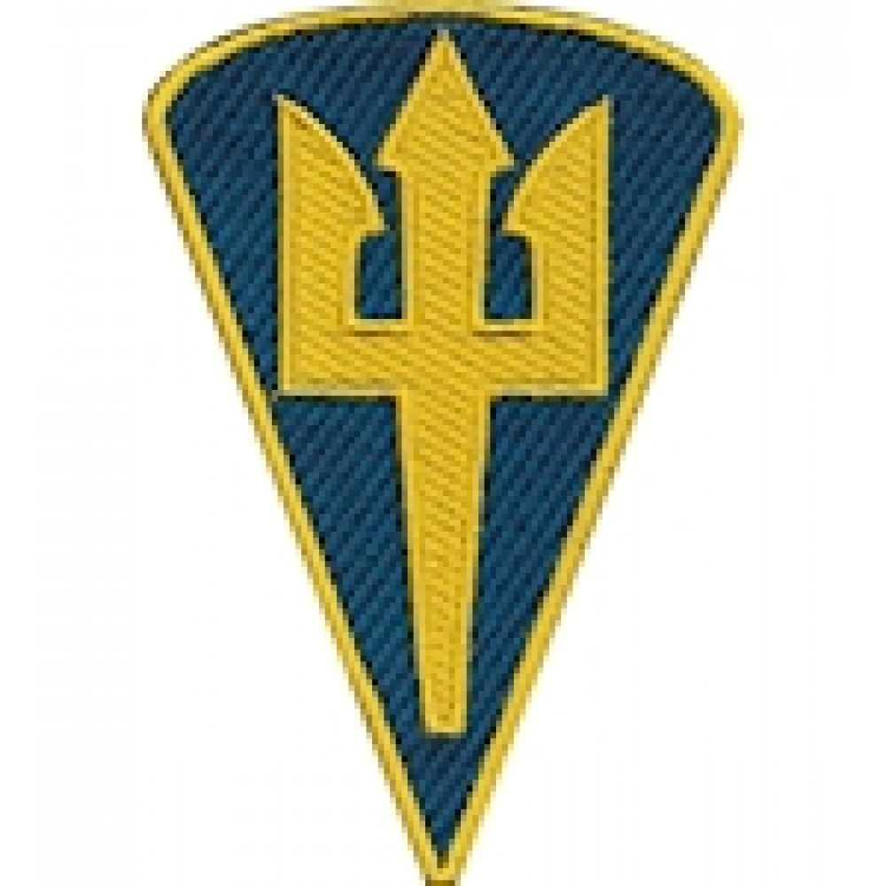 Шеврон Командування морської піхоти (зашите поле)
