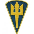 Шеврон Командування морської піхоти (зашите поле)