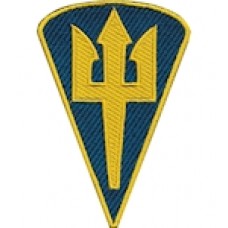 Шеврон Командування морської піхоти (зашите поле)