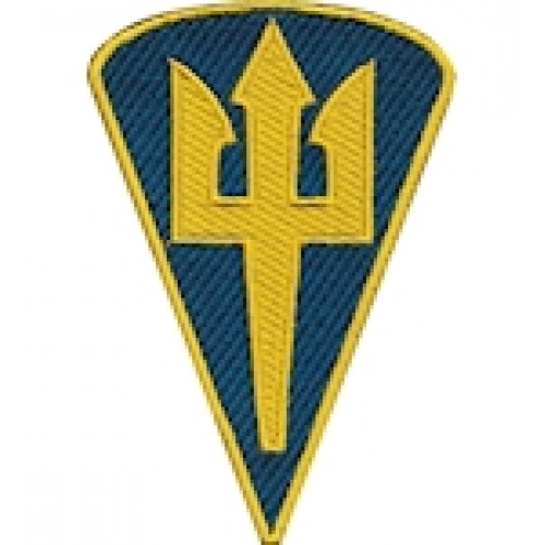 Шеврон Командування морської піхоти (зашите поле)