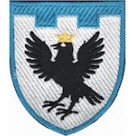 Шеврон 102 окрема бригада ТрО (Івано-Франківська область) (кольоровий)