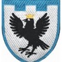 Шеврон 102 окрема бригада ТрО (Івано-Франківська область) (кольоровий)