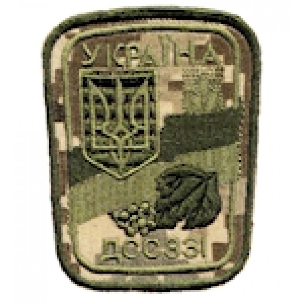 Шеврон ДССЗІ Україна