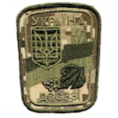 Шеврон ДССЗІ Україна