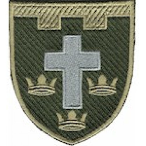 Шеврон 124 окрема бригада ТрО (Херсонська область)