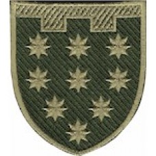 Шеврон 108 окрема бригада ТрО (Дніпропетровська область)