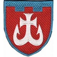 Шеврон 120 окрема бригада ТрО (Вінницька область) (кольоровий)