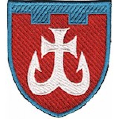 Шеврон 120 окрема бригада ТрО (Вінницька область) (кольоровий)