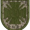 Шеврон ""СБУ (управління)"" (щит з мечами) (зелена нитка)