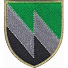 Shevron 8 okremyy polk zv'yazku  