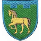 Шеврон 111 окрема бригада ТрО (Луганська область) (кольоровий)