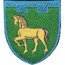 Шеврон 111 окрема бригада ТрО (Луганська область) (кольоровий)