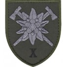 Шеврон 10 окрема гірсько-штурмова бригада