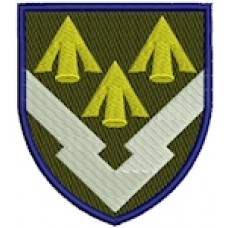 Шеврон А 2192 (кольоровий)
