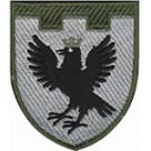 Шеврон 102 окрема бригада ТрО (Івано-Франківська область)