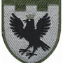 Шеврон 102 окрема бригада ТрО (Івано-Франківська область)