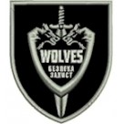 Шеврон ""Wolves"" захист безпека