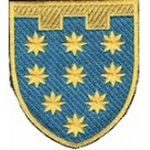 Шеврон 108 окрема бригада ТрО (Дніпропетровська область) (кольоровий)