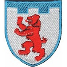 Шеврон 101 окрема бригада ТрО (Закарпатська область) (кольоровий)