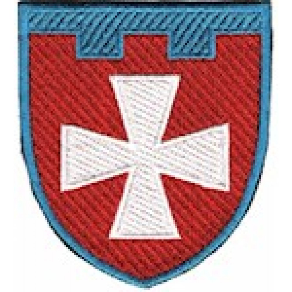 Шеврон 104 окрема бригада ТрО (Рівненська область) (кольоровий)