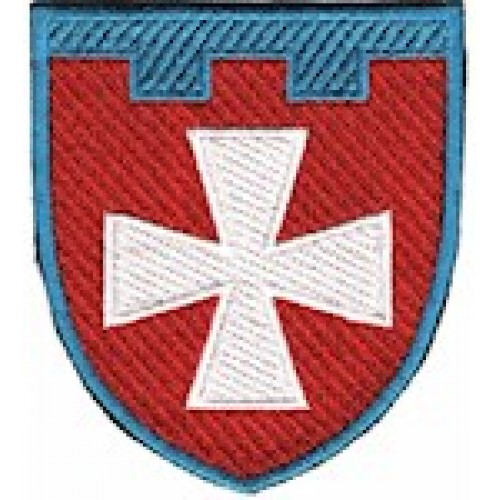 Шеврон 104 окрема бригада ТрО (Рівненська область) (кольоровий)