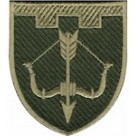 Шеврон 118 окрема бригада ТрО  Черкаська область /олива/цифра/