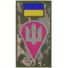 Шеврон-заглушка на липучці ДШВ (кольоровий)