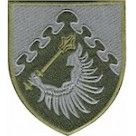 Shevron Povitryane komanduvannya ""Tsentr""  