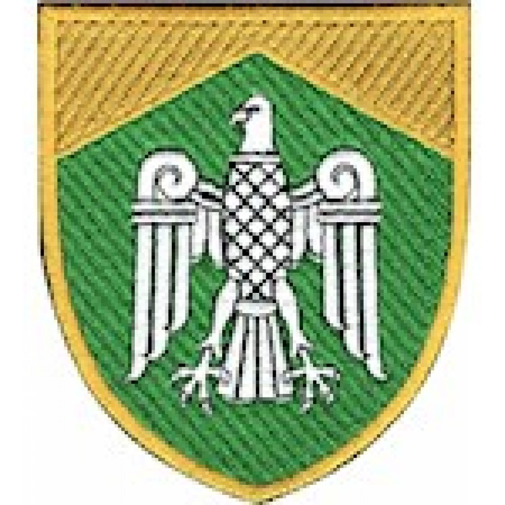Шеврон Чернівецький ОТЦК та СП (кольоровий)
