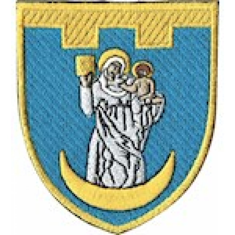 Шеврон 117 окрема бригада ТрО (Сумська область) (кольоровий)
