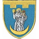 Шеврон 117 окрема бригада ТрО (Сумська область) (кольоровий)