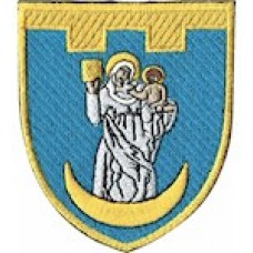 Шеврон 117 окрема бригада ТрО (Сумська область) (кольоровий)