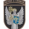 Шеврон ВІТІ ""Patria et honor""