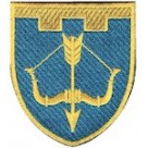 Шеврон 118 окрема бригада ТрО (Черкаська область) (кольоровий)