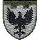 Шеврон 119 окрема бригада ТрО (Чернігівська область)