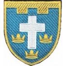 Шеврон 124 окрема бригада ТрО (Херсонська область) (кольоровий)