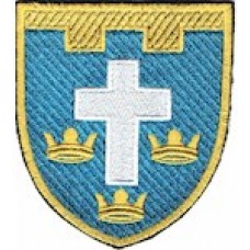 Шеврон 124 окрема бригада ТрО (Херсонська область) (кольоровий)