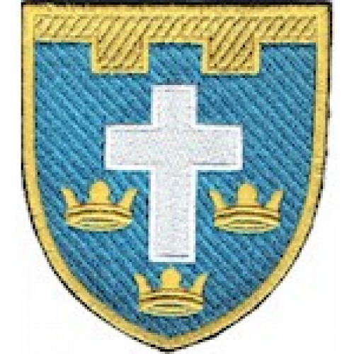 Шеврон 124 окрема бригада ТрО (Херсонська область) (кольоровий)
