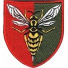 Шеврон 38 зенітний ракетний полк (кольоровий)