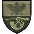 Шеврон 61 окрема піхотна єгерська бригада