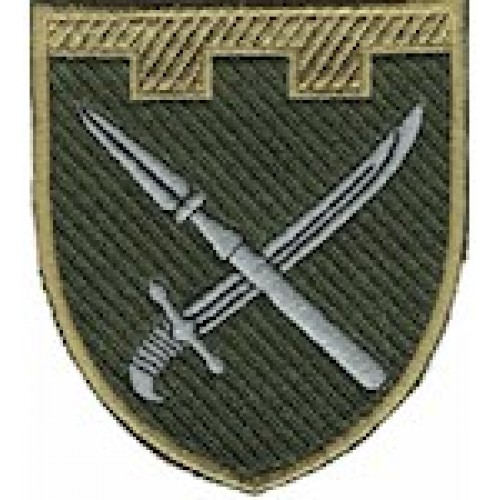 Шеврон 109 окрема бригада ТрО (Донецька область)