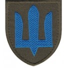 Шеврон ЗСУ Механізовані війська (зашите поле, тризуб)