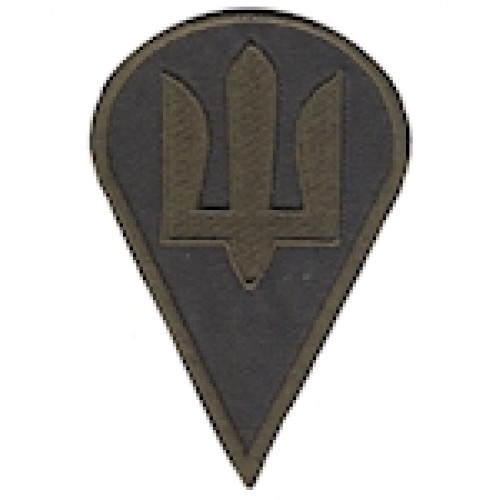 Шеврон ДШВ (тризуб)